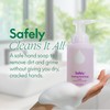 Safely Foaming Hand Soap 10oz Rise - 6 pack