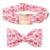 Unique style paws Valentine's Day Dog Collar, Soft Dog Collar
