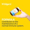 Wellgard Vegan Vitamin C and Zinc - Maximum Recommended Daily