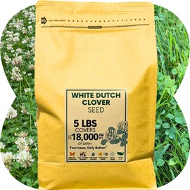 Flawn Seed White 5 Lbs Dutch Clover Seeds, Organic Coated, Natural Lawn, Ground Cover, Food Plot, Zones 3-9, Covers up to 18,000 Sqft