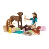 Schleich GmbH 42746 toy