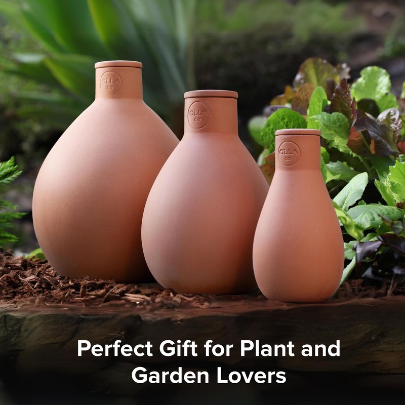 The Olla Company Classic Olla Watering Pot with Lid -