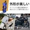 HttDog Brake Lock for Motorcycles, Steering Wheel Lock, Axle Lock,