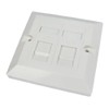 World of Data CAT6 Single Socket Double Port Faceplate -