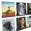 NIUBEE Acrylic Record Rack Wall Mount LP Album Cover Stand