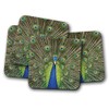 4 Set - Beautiful Peacock Bird Coaster - Indian Peafowl