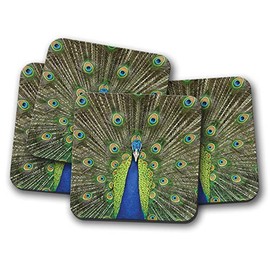 4 Set - Beautiful Peacock Bird Coaster - Indian Peafowl Feathers Fun #14999