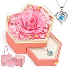 Beinhome Eternal Rose in Glass with Chain, Preserved Rose Flowers, Shipping Gift for Women, Mum, Grandma, Girlfriend, Valentine's Day, Christmas, Mother's Day, Birthday, Wedding, Thanksgiving (Pink)