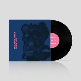 That Wasn't a Dream (LP) [Vinyl LP]