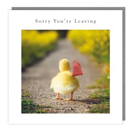 Sorry You Are Leaving Card - Sorry You're Leaving Duckling Design - Made in the UK - Eco-Friendly