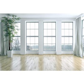 Renaiss 3 x 2.5 m French Window Living Room Background Wooden Floor Empty Space Photography Background Plants Modern Interior Decoration Office Furniture Video Conference Studio Props