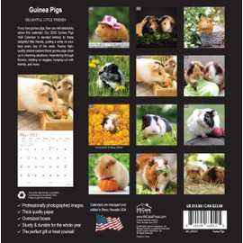MICASA Guinea Pigs 2025 Wall Calendar 12 Month | 12" x 24" Open | Thick & Sturdy Paper | Giftable | Calendar 2025