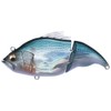 Megabass Vatalion SW GG Kohada Lure