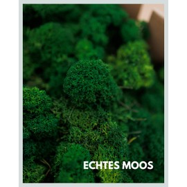 Icelandic Moss Preserved Dark Green I Moss Decoration for Crafts I 250 g Real Dark Green Decorative Moss Icelandic for Moss Picture and Moss Wall Live