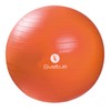 Sveltus Gymball 55 cm Adults Unisex Orange
