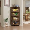 4-Tier Corner Fruit and Vegetable Storage Rack Snack Rack