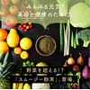 「母なるスムージー」150g×３袋セット たっぷりの野菜とフルーツと酵素配合のカラダに必要な栄養 ミネラル満ちゆく贅沢グリーンスムージー 無香料・無着色・砂糖不使用