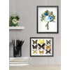 Shadow Box Picture Frame Wall Mounted Shadow Box Display Cases