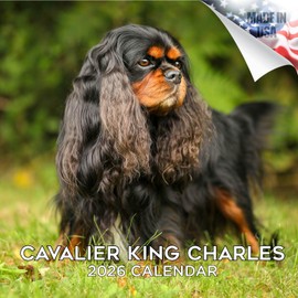 2025 2026 Cavalier King Charles Calendar - Dog Breed Monthly Wall Calendar - 12 x 24 Open - Thick No-Bleed Paper - Giftable - Academic Teacher's Planner Calendar Organizing & Planning - Made in USA