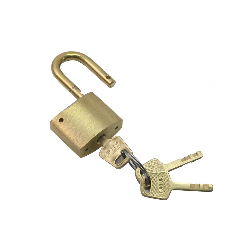 Chinflly Padlock Lock,Antique Heavy Duty Door Lock,Vintage Retro Solid Brass