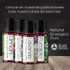 VIDA SCENTS OLEOS Aceite Esencial de Eucalipto 30 ML 100%