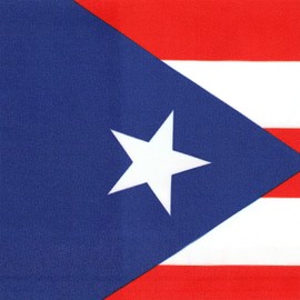 USA And Puerto Rico Flag Graduation Stole, Satin Embroidery Graduation Sash for International Students, 72 Inch Length.