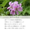 Natural 100% Geranium Oil 200ml Aroma Oil Essential Oil