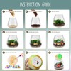 DIY-LAOESE Dinosaur Toy, Dinosaur Terrarium Set for Children with Moon