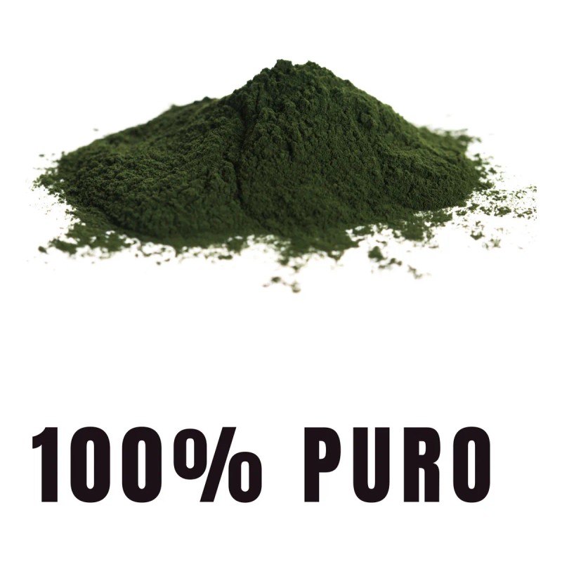 Bioherb Alga Chlorella 100% Pura 180 Cápsulas 500 Mg Sabor