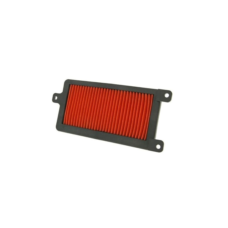 2EXTREME Air Filter Insert Compatible with KYMCO Agility City, People