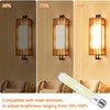 Vinaco T10/T30 LED Edison Bulb, 2 Pack Dimmable No Flicker
