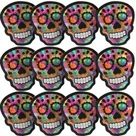 Sugar Skull Tissue Acetate Craft Kit for Day fo The Dead - Makes 12 - DIY Halloween Crafts for Kids and Fun Home Activities
