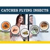 MaxGuard Window Fly Traps - Capture & Kill Insects Effortlessly