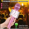 Niskite Karaoke Microphone – Play/Record – Bluetooth – Voice Changing