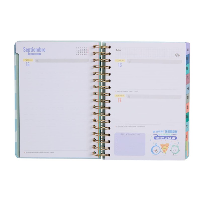 Mr. Wonderful , Wonder Agenda 2023-2024 Diaria Azul, Every Day