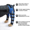 Dog Knee Brace Adjustable Dog Double Rear Leg Brace with