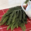RAZ Imports Artificial Balsam Fir Spray Bundle, 18 Inch, Green,