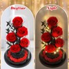 DHOEM Preserved Forever Roses in Glass Dome,Birthday Flower Gift for