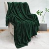 PAVILIA Super Soft Fleece Throw Blanket Twin Emerald Green, Fuzzy