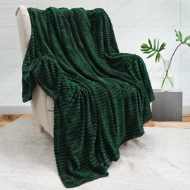 PAVILIA Super Soft Fleece Throw Blanket Twin Emerald Green, Fuzzy Plush Flannel Throw, Warm Cozy Ribbed Microfiber Blanket for Sofa Couch Bed, Lightweight Striped Blanket, Green, 60x80