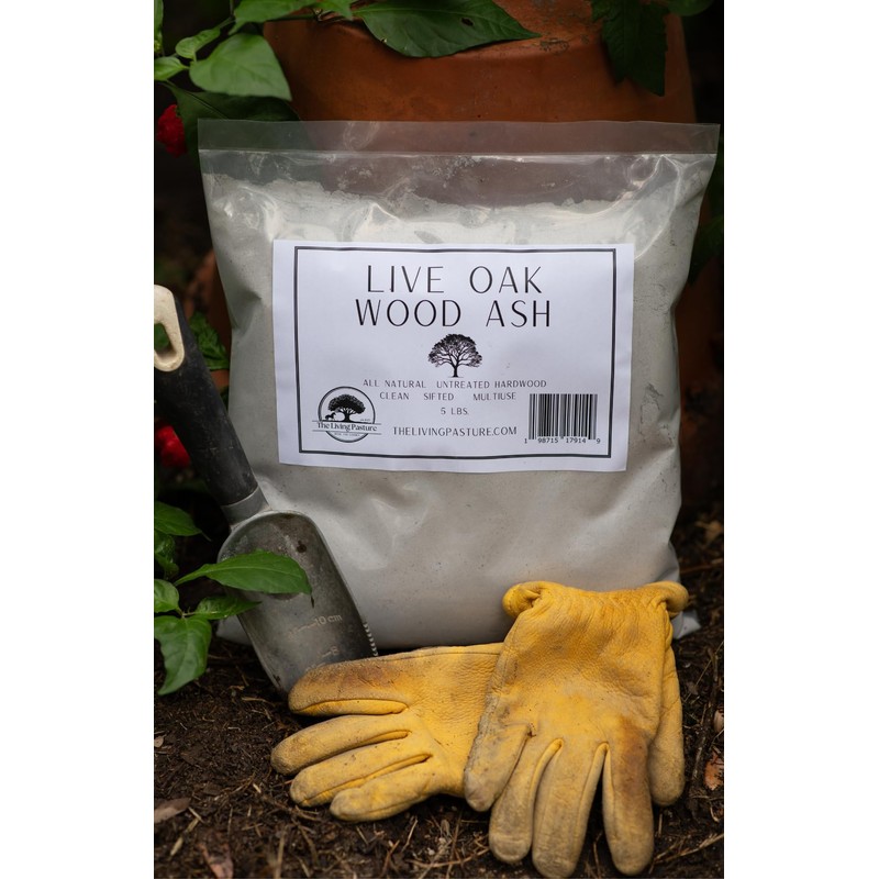 Live Oak Wood Ash - All Natural Clean Sifted Premium