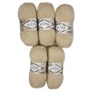 Alize Sal 5 x 100 g Glitter Wool for Knitting