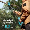 Seesii 2-IN-1 Cordless Pole Saw & Mini Chainsaw 6 inch