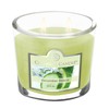 Colonial Candle Cucumber Fresca Scented Jar Candle, 2 Wick, 3.5