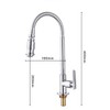 Kitchen Swivel Faucet with Cold Water Hose, Stainless Steel (AA)