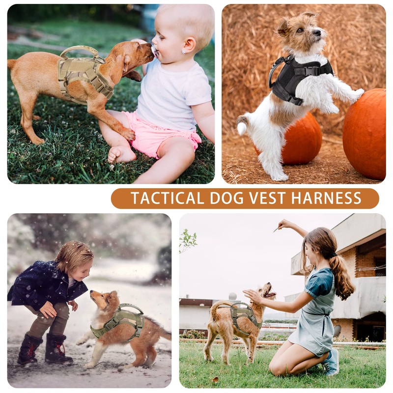 Annchwool Tactical Dog Harness for Small Dogs with Handle, Military