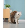 Thapncow Cat Scratching Board, 2-in-1 Magic Organ Cat Scratching Boards,