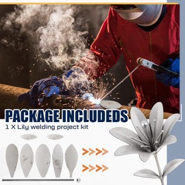 Zonon 3D Flower Welding Practice Kit for Beginners DIY 201 Stainless Steel Welding Project Metal Art Stuff Coupons for Tig, Mig Gas Rod Gifts Supplies Accessories Halloween(7.87in/20cm,3D Lily Flower)