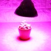 1pc 80W Full Spectrum E27 LED Plant Grow Lamps Horticulture