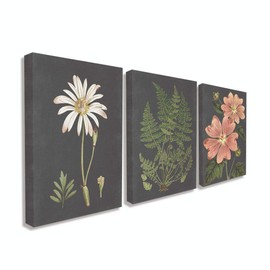 Stupell Industries Botanical Flowers Chalkboard Illustrations, Design by Artist Lettered and Lined Wall Art, 3pc, Each 24 x 30, Canvas